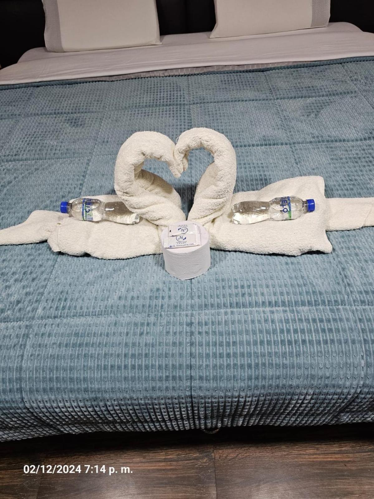 Hospedaje Paqcha クスコ エクステリア 写真